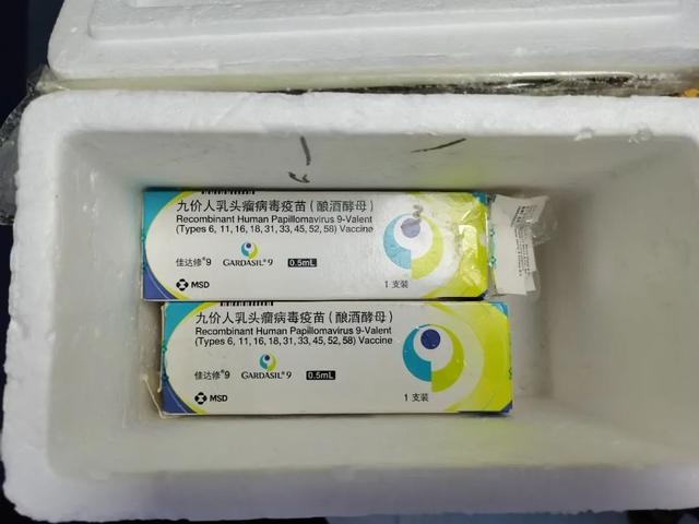 揭秘HPV疫苗诈骗：四位女士的惊魂经历，健康关爱背后的黑暗真相  第4张