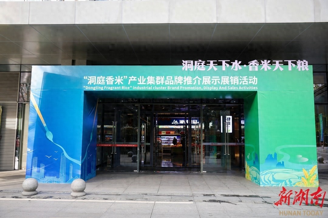 洞庭香米惊艳亮相！湖南大米产业强势崛起，你还在等什么？  第1张