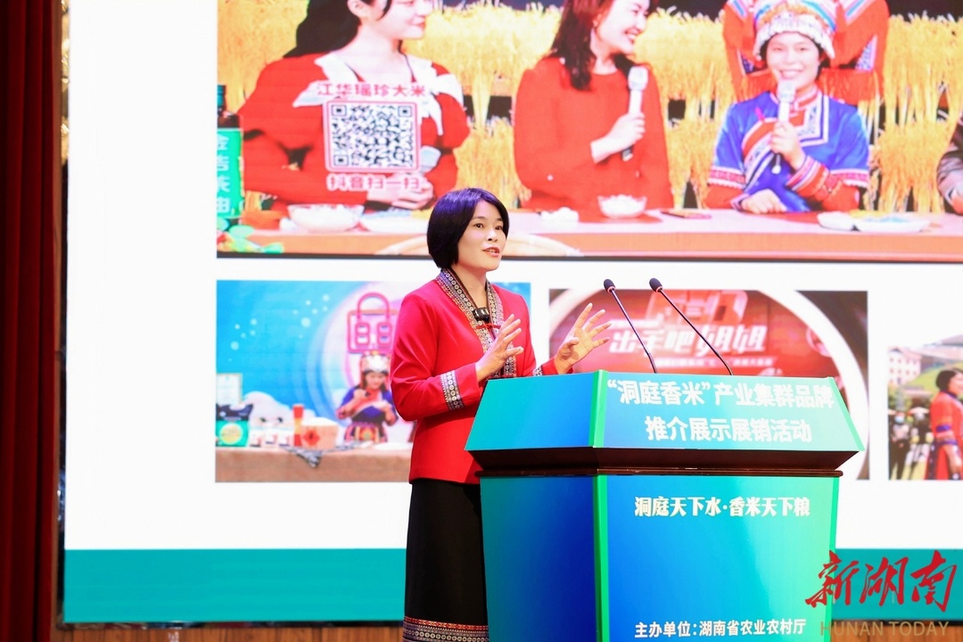 洞庭香米惊艳亮相！湖南大米产业强势崛起，你还在等什么？  第3张