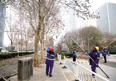 郑州东越市政如何通过冬季修枝管护，确保行道树安全越冬并提升城市绿化景观效果？  第1张