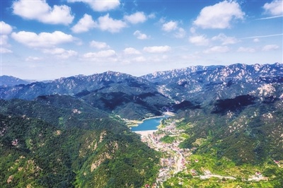 揭秘崂山生物王国：首份生物多样性报告揭示海上名山的生态宝藏  第1张