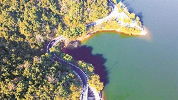 从闭塞山村到生活美学村：镇海九龙湖镇秦山村的华丽转身与乡村振兴新图景