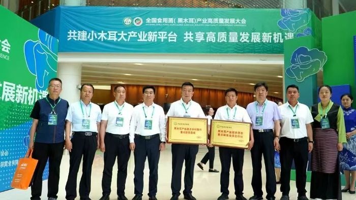 卓尼黑木耳：从神农氏到乡村振兴，千年传承的富民产业如何焕发新生？  第3张