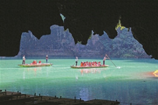 探秘广西地下奇观：3500平方公里内隐藏的4050种植物与730种动物，你见过几种？  第1张