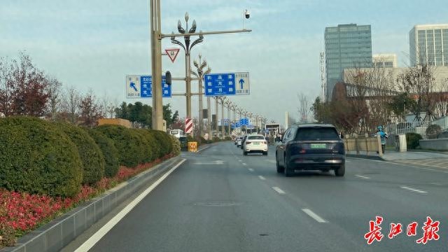 武汉市民反映高新大道绿化带过高影响会车视野，官方回应正在优化方案  第1张