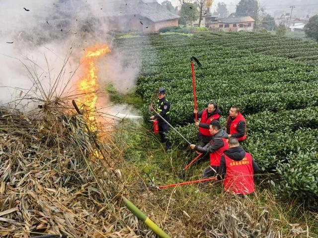 名山公安分局实战演练：20余名警力如何高效应对森林火灾？  第5张