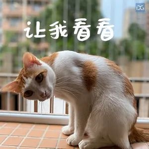 佛穗莞城际最新线路图曝光！车站数量减少5座，蕉利站点神秘消失，未来建设计划大揭秘