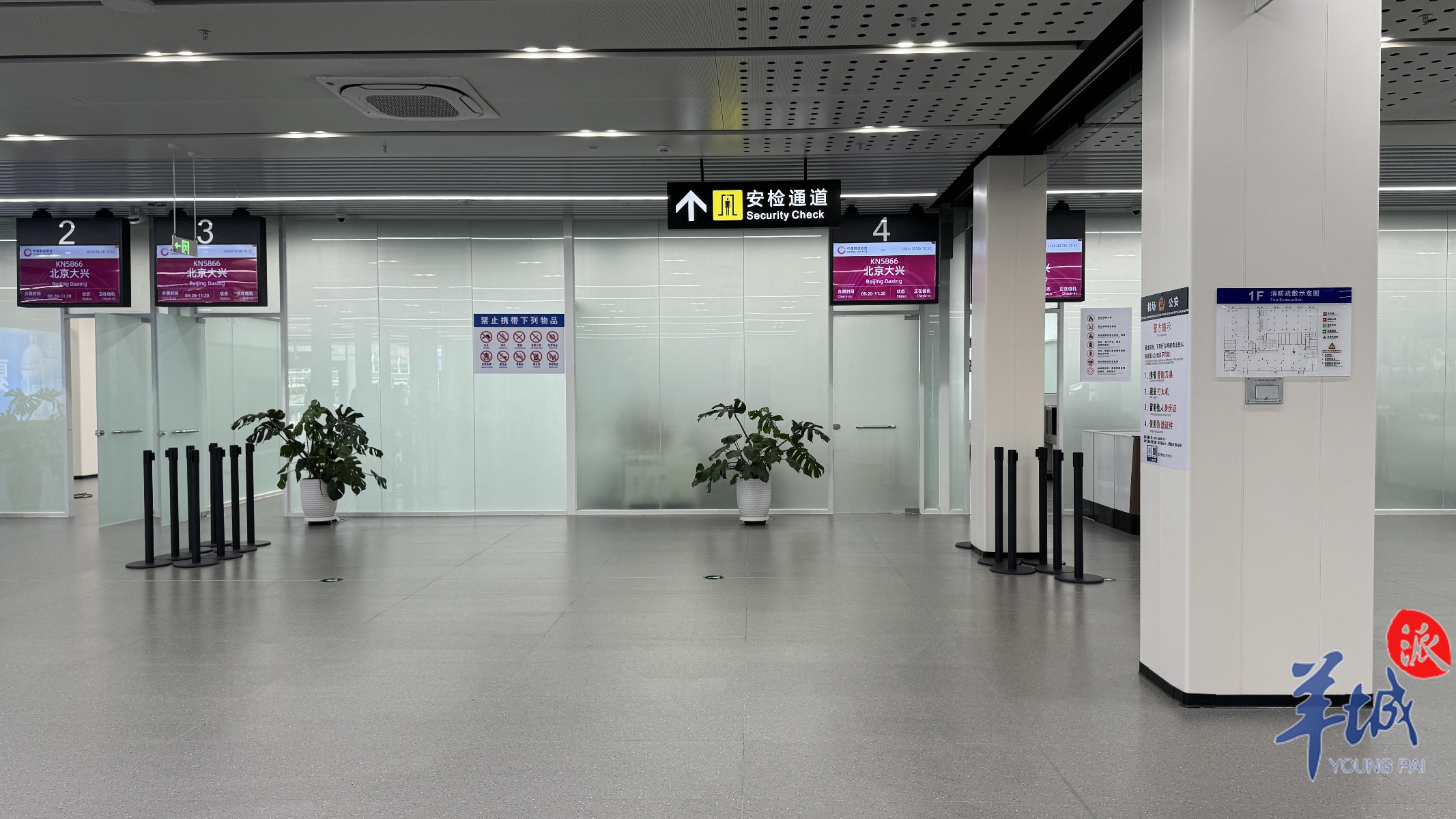 佛山机场新航站楼正式投运，首趟航班旅客抵达，出行便捷再升级  第5张