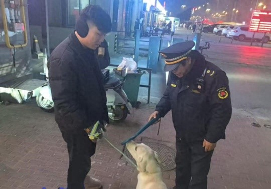 郑州金水区严查违规养犬，3起遛狗不拴绳被当场制止，文明养犬从我做起