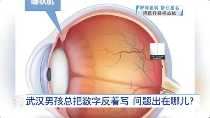 8岁男孩书写阿拉伯数字竟像镜子反射，背后真相让人心疼  第4张