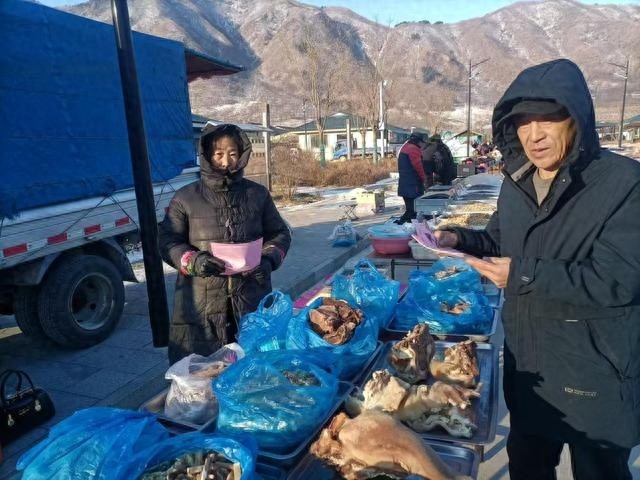 集安市青石镇林业站启动网盾行动2024，为野生动物撑起保护伞，你了解多少？  第1张