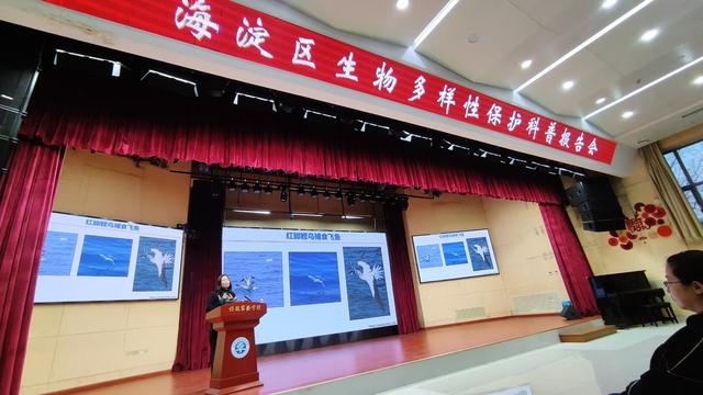 揭秘海淀区生物多样性保护新方案：2024-2025年如何打造‘西山画屏’绿色空间？  第2张