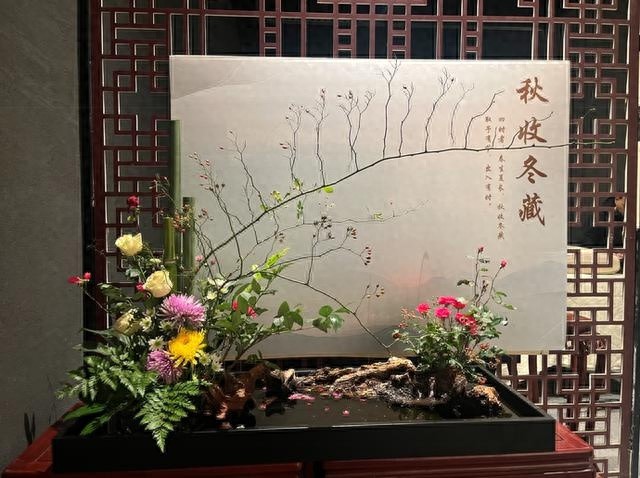 3600年亳都遗址上盛开的陶花，带你穿越时空感受早商王都的繁荣与神秘  第1张