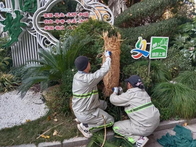 上海寒潮来袭！徐汇区绿容局紧急行动，62人次出动保障市民生活秩序  第3张