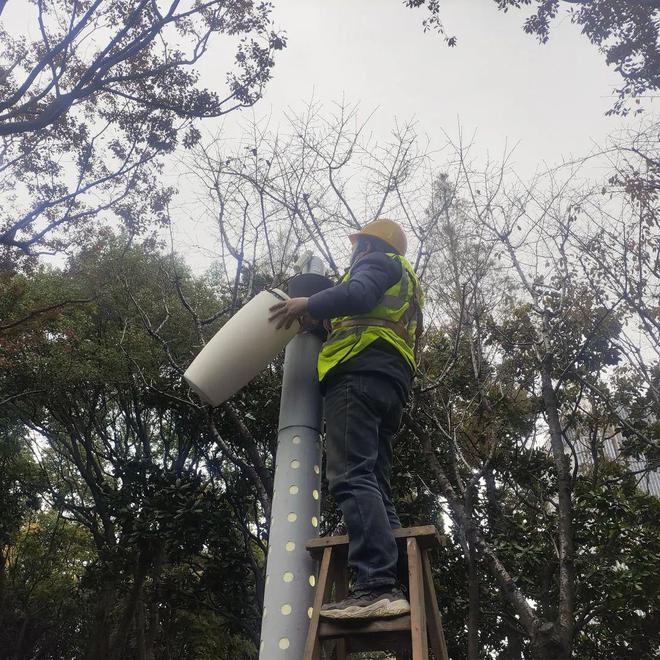 上海寒潮来袭！徐汇区绿容局紧急行动，62人次出动保障市民生活秩序  第6张