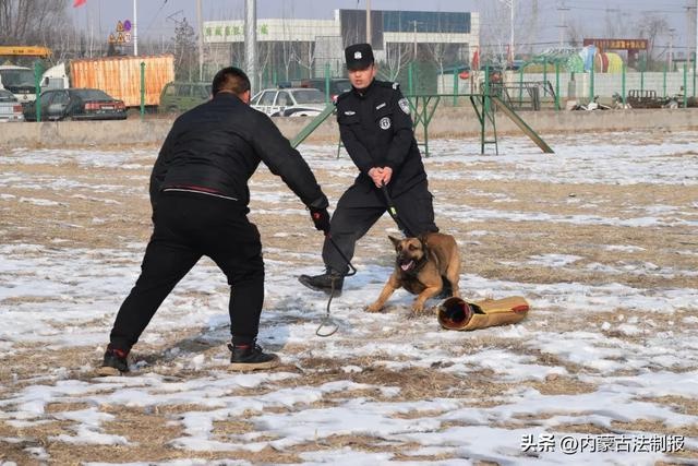 鄂尔多斯特警迎风斗雪，冬季练兵提升实战能力，你准备好了吗？  第3张