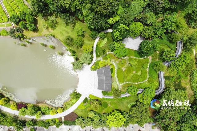 南蓬山森林公园：城市氧吧与高明文化传承的独特交汇点  第2张