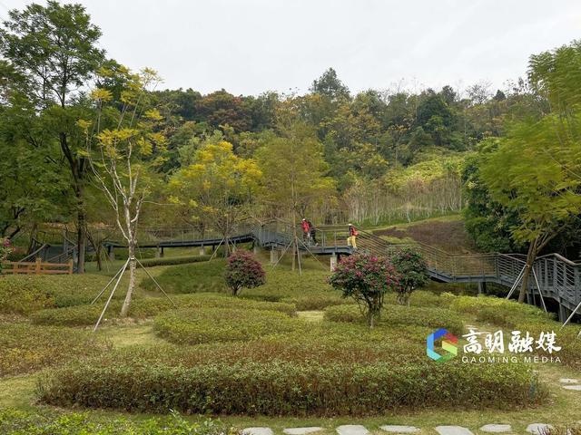 南蓬山森林公园：城市氧吧与高明文化传承的独特交汇点  第3张