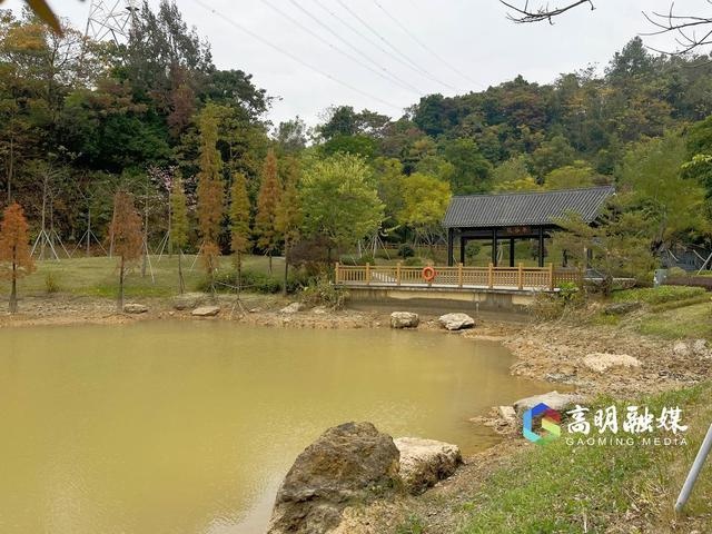 南蓬山森林公园：城市氧吧与高明文化传承的独特交汇点  第4张