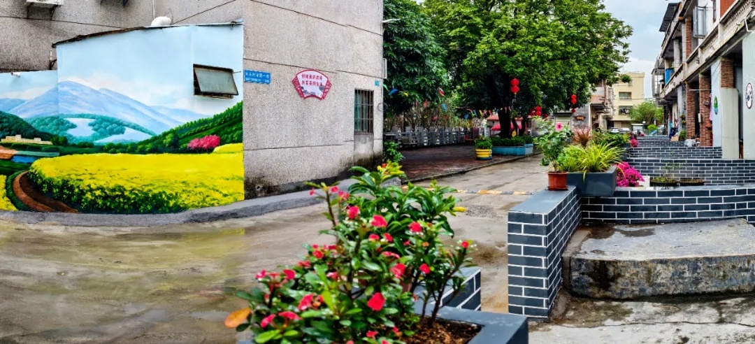 桥头镇美丽庭院大比拼：谁将摘得桂冠？揭秘获奖社区的独家秘诀  第3张