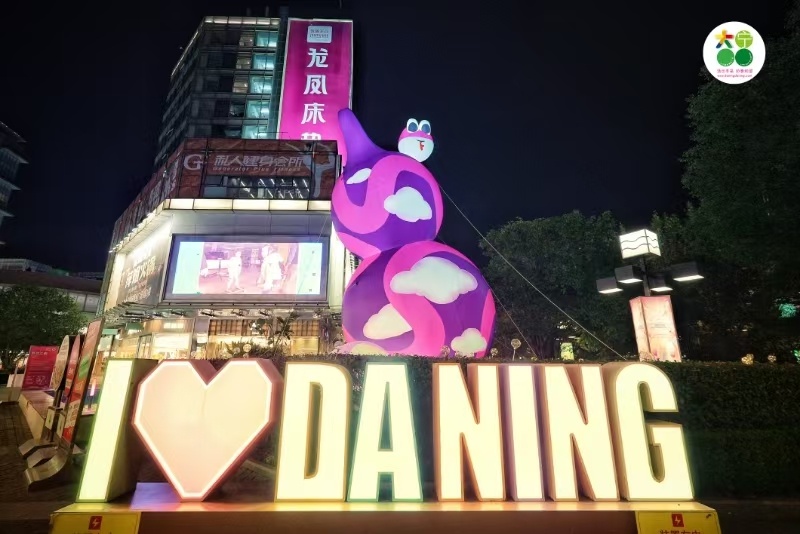 2024年末大宁国际迎新之夜：明星主播天团助阵，开启2025年最炫冬日派对  第3张