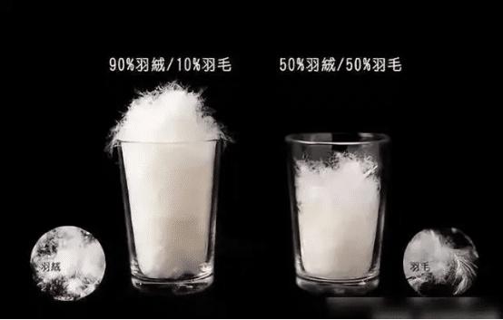 羽绒服怎么选？宁夏市场监管厅提醒您注意这些事项  第5张