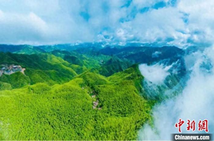 1600 余名越野跑者齐聚衢州，这场比赛究竟有何魅力？