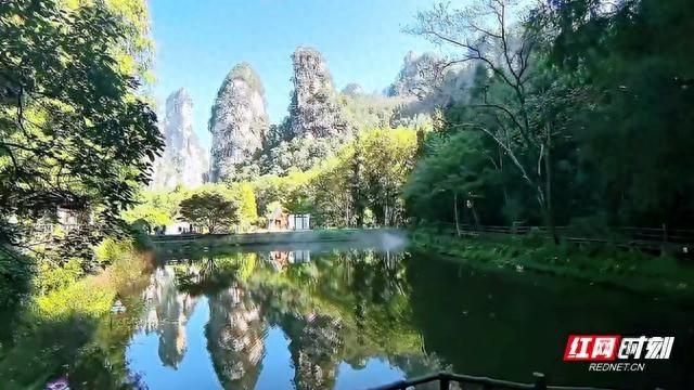 10 月 25 日，张家界国家森林公园鹞子寨的秋日盛景，宛如梦幻仙境  第1张