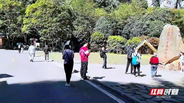 10 月 25 日，张家界国家森林公园鹞子寨的秋日盛景，宛如梦幻仙境  第3张