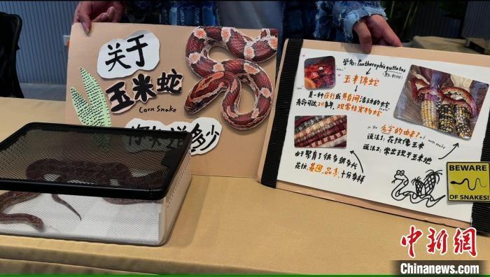 异宠成为宠物爱好者心头好，你能接受吗？  第2张