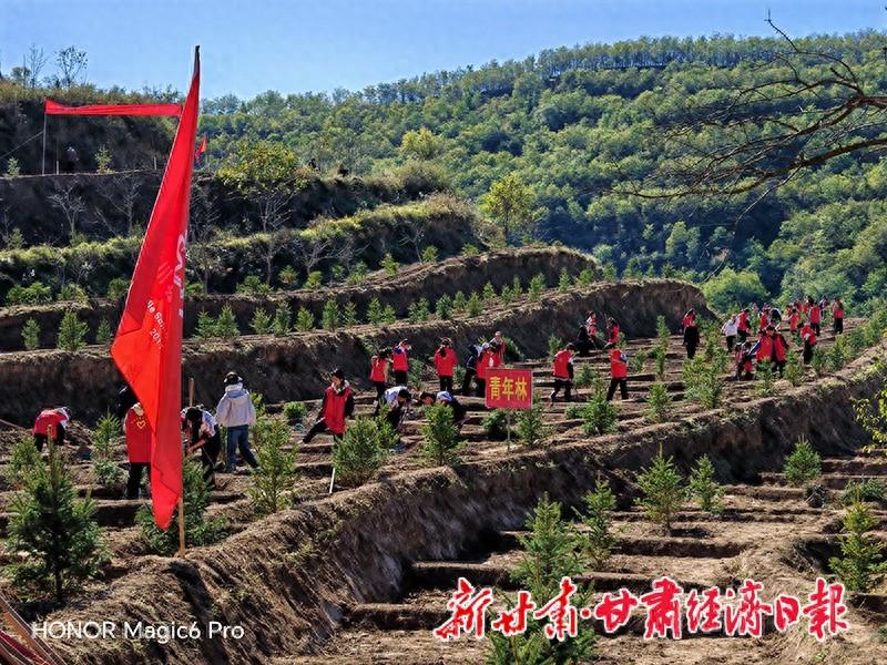 泾川县掀起全民义务植树热潮，荒山造林 410 亩，你参与了吗？