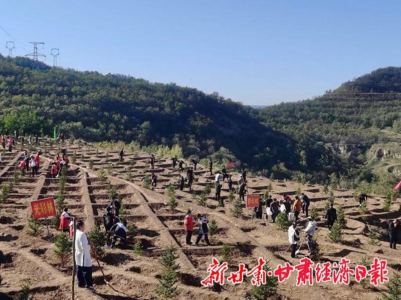 泾川县掀起全民义务植树热潮，荒山造林 410 亩，你参与了吗？  第2张