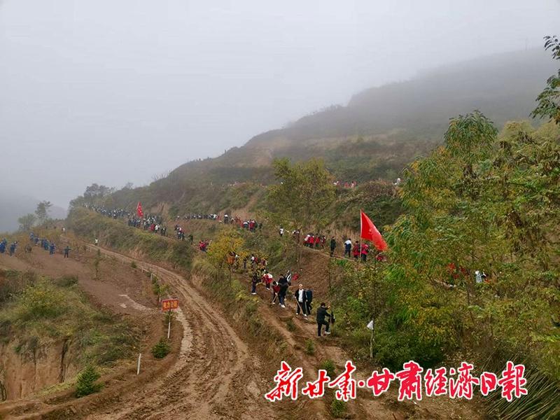 泾川县掀起全民义务植树热潮，荒山造林 410 亩，你参与了吗？  第3张