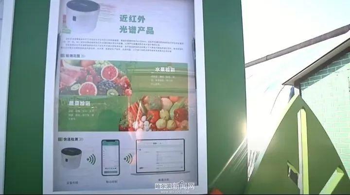 100 亩种植园,每天采摘 200 多斤蔬菜,这里的草莓柿子为何如此受欢迎? 第2张 100 亩种植园,每天采摘 200 多斤蔬菜,这里的草莓柿子为何如此受欢迎? 第2张