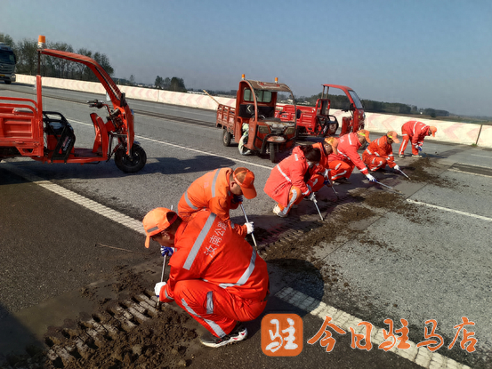 秋季公路养护，汝南公路事业发展中心全力打造畅安舒美通行环境