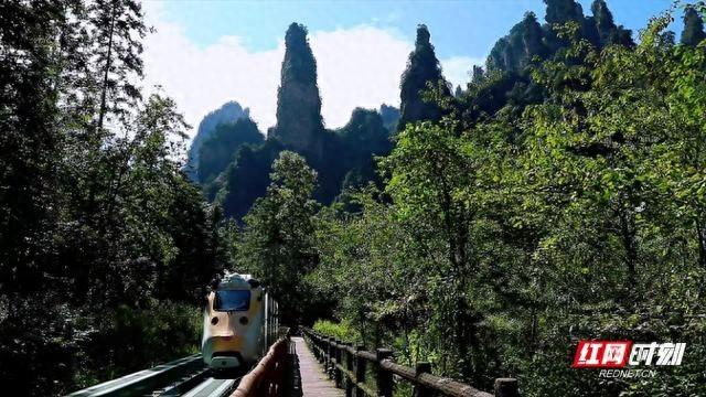张家界十里画廊秋景如画，12 生肖观光电车带你领略如诗般的秋日盛景