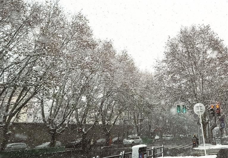 大连初雪限定美景，仅市内、旅顺、金普新区可见，其他区域的小伙伴还得再等  第4张