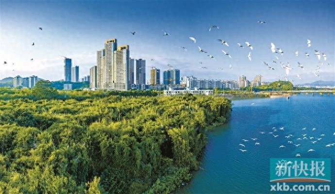 揭秘2024年度省级美丽河湖：增江与南岗河—木强水库的生态奇迹  第1张