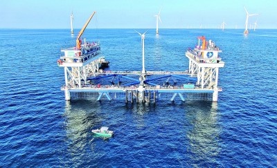从理论到实践：海洋科研者与渔民共创科技新纪元