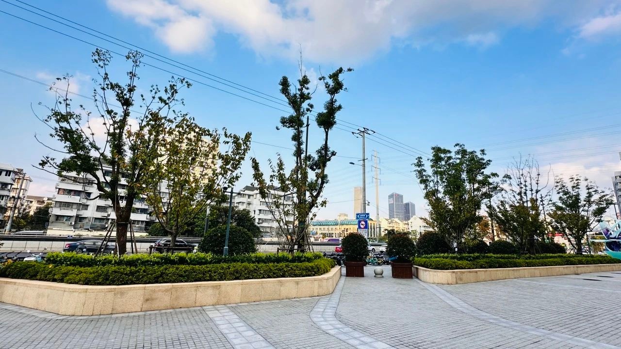 2024年普陀区再添3处绿地开放共享，久良财富休闲广场春景等你来探  第8张