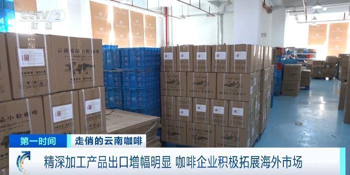 云南咖啡出口量暴涨376.9%！揭秘国际市场价格飙升背后的秘密  第4张