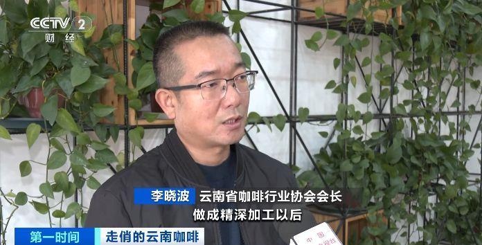 云南咖啡出口量暴涨376.9%！揭秘国际市场价格飙升背后的秘密  第5张