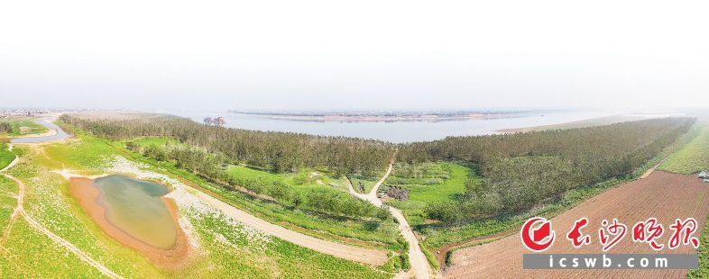 探秘湘江之心：甄皮洲，一个跨越长沙与岳阳的无人秘境  第2张