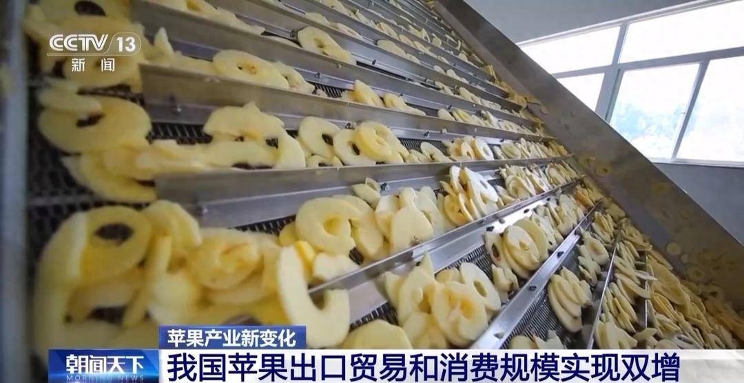 中国苹果产量世界第一，冷链+期货助力消费者抢鲜体验