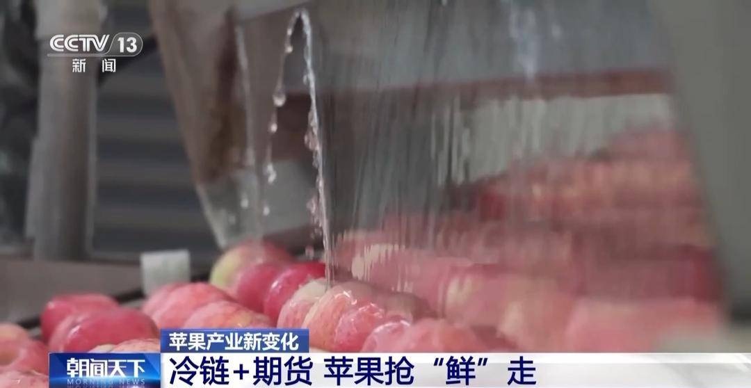 中国苹果产量世界第一，冷链+期货助力消费者抢鲜体验  第2张