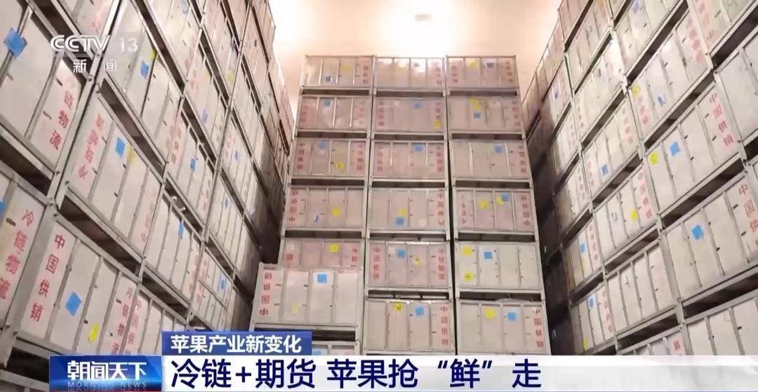 中国苹果产量世界第一，冷链+期货助力消费者抢鲜体验  第4张