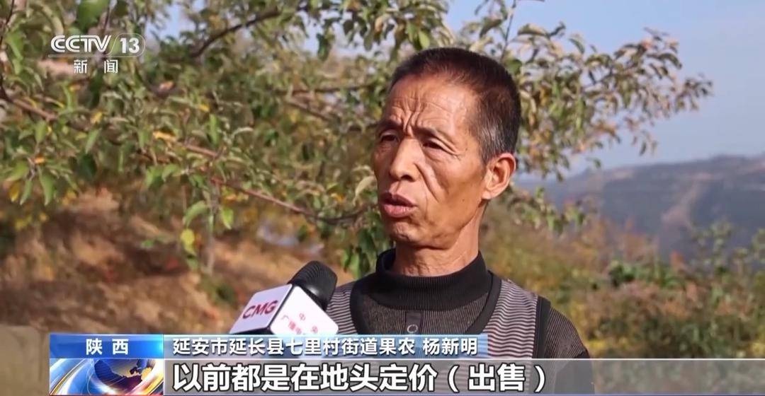 中国苹果产量世界第一，冷链+期货助力消费者抢鲜体验  第5张