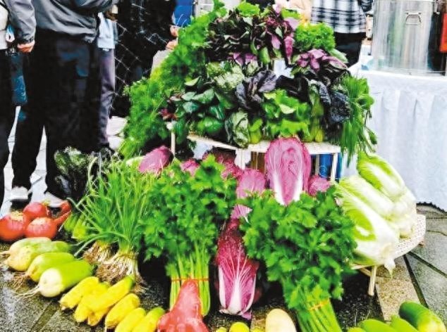 丰收节上的五彩斑斓：38种农作物收获5000斤，非遗体验触碰历史脉络  第1张