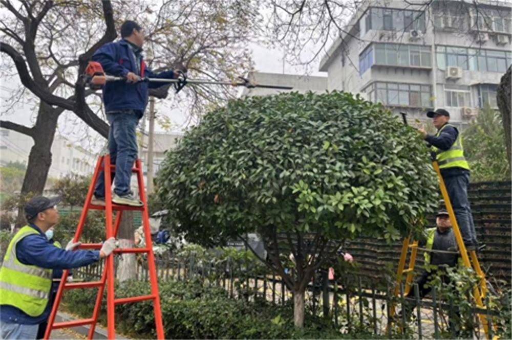 入冬植物休眠，西安新城城管精细化护绿:打造赏心悦目的来年