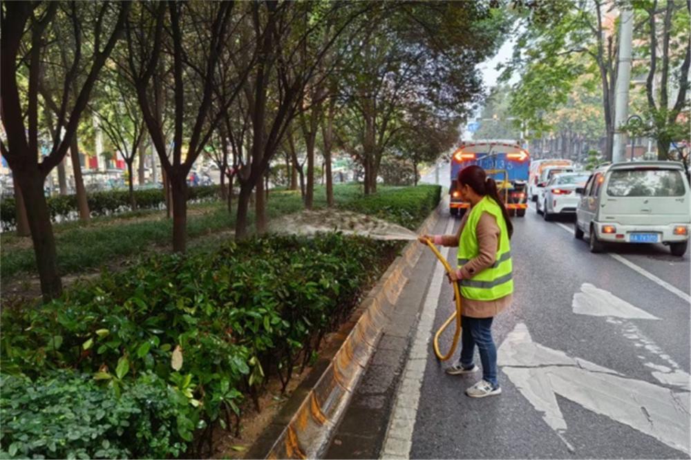 入冬植物休眠，西安新城城管精细化护绿:打造赏心悦目的来年  第2张
